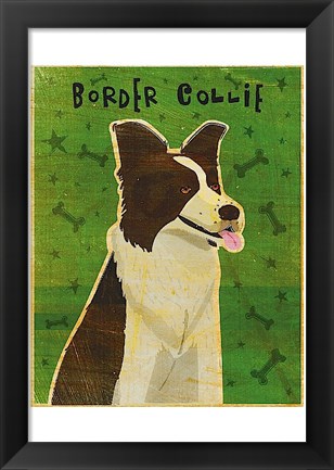 Framed Border Collie Print