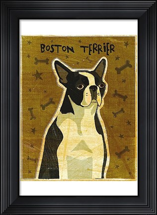 Framed Boston Terrier Print