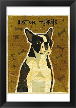 Framed Boston Terrier Print