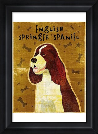 Framed English Springer Spaniel Print