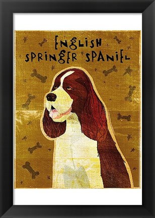 Framed English Springer Spaniel Print