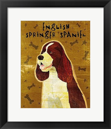 Framed English Springer Spaniel Print