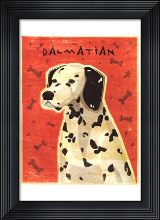 Framed Dalmation Print