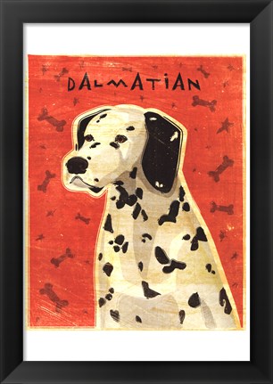 Framed Dalmation Print