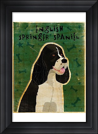 Framed English Springer Spaniel (black and white) Print