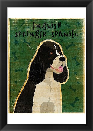 Framed English Springer Spaniel (black and white) Print