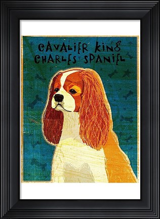 Framed Cavalier King Charles (Blenheim) Print