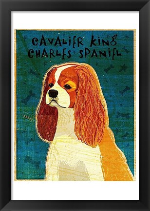 Framed Cavalier King Charles (Blenheim) Print