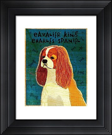 Framed Cavalier King Charles (Blenheim) Print