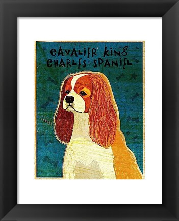 Framed Cavalier King Charles (Blenheim) Print