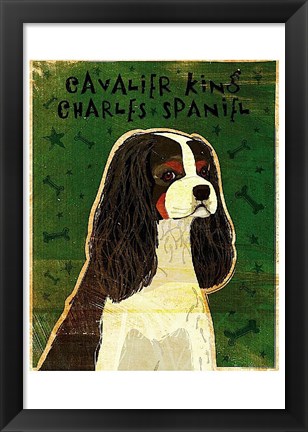 Framed Cavalier King Charles (tri-color) Print