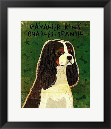 Framed Cavalier King Charles (tri-color) Print