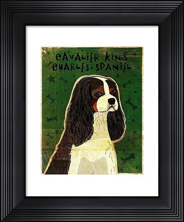 Framed Cavalier King Charles (tri-color) Print