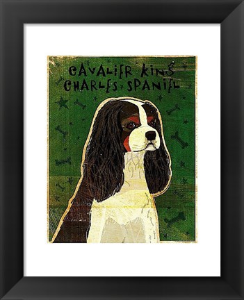 Framed Cavalier King Charles (tri-color) Print