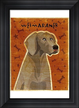 Framed Weimaraner Print