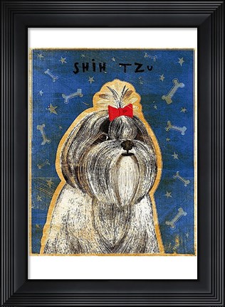 Framed Shih Tzu Print