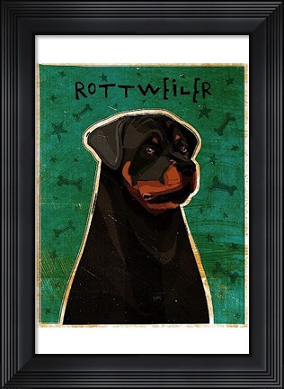 Framed Rottweiler Print