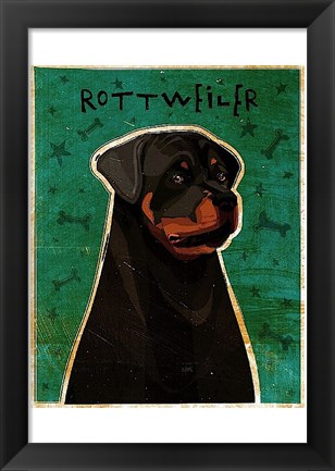Framed Rottweiler Print