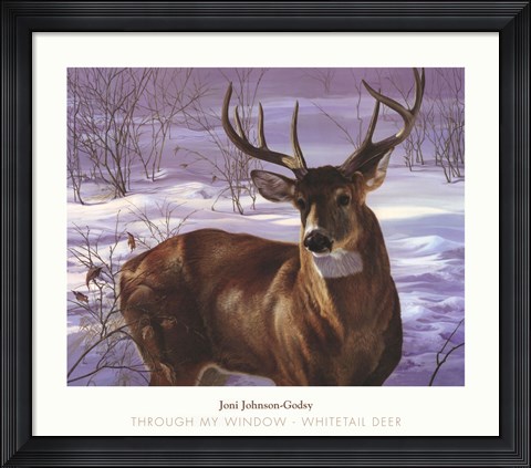 Framed Through My Window- Whitetail Deer Print