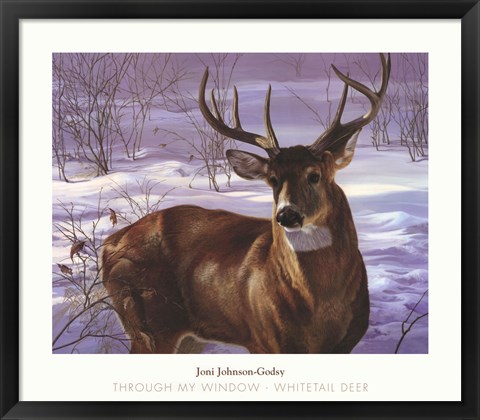 Framed Through My Window- Whitetail Deer Print