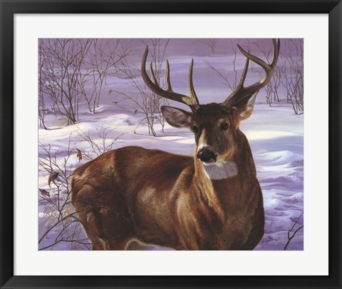 Framed Through My Window- Whitetail Deer Print