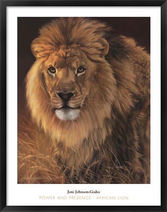 Framed Power and Presence- African Lion Print