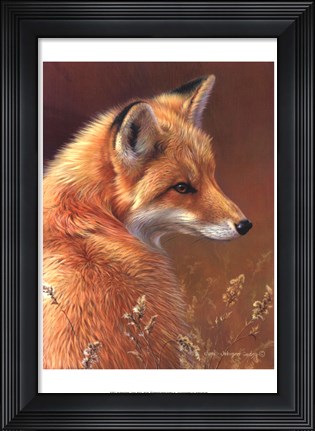 Framed Curious- Red Fox Print