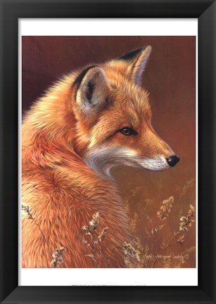 Framed Curious- Red Fox Print