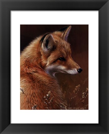 Framed Curious- Red Fox Print