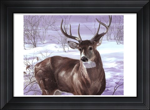 Framed Through My Window- Whitetail Deer Print