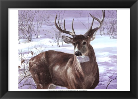 Framed Through My Window- Whitetail Deer Print