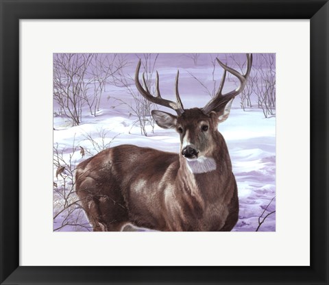 Framed Through My Window- Whitetail Deer Print