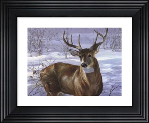 Framed Through My Window- Whitetail Deer Print