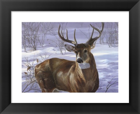 Framed Through My Window- Whitetail Deer Print