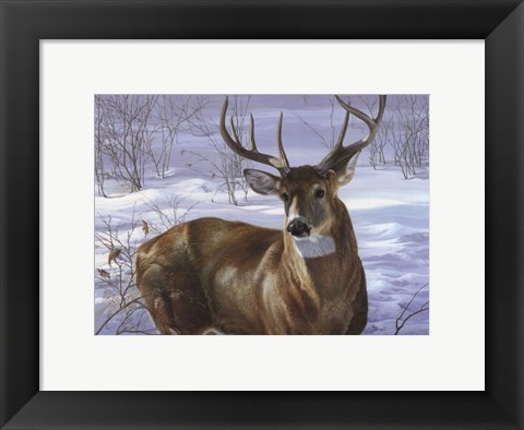 Framed Through My Window- Whitetail Deer Print