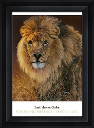 Framed Power and Presence- African Lion Print