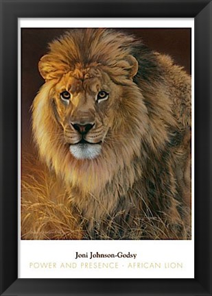 Framed Power and Presence- African Lion Print