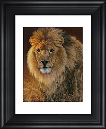 Framed Power and Presence- African Lion Print