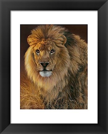 Framed Power and Presence- African Lion Print