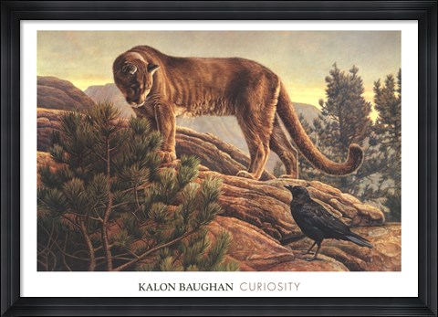 Framed Curiosity Print