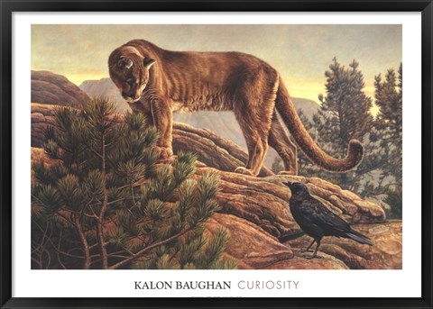 Framed Curiosity Print