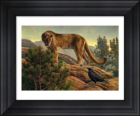 Framed Curiosity Print