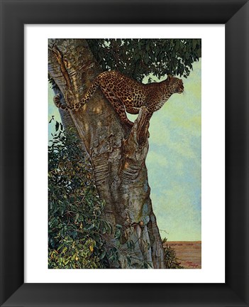 Framed On the Lookout Print