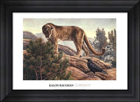 Framed Curiosity Print