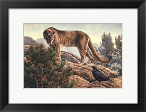 Framed Curiosity Print