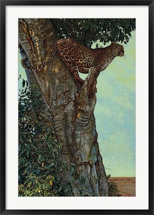 Framed On the Lookout Print