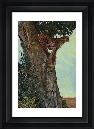 Framed On the Lookout Print