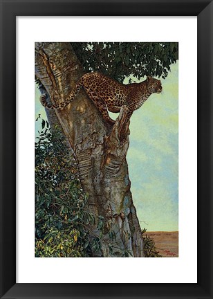 Framed On the Lookout Print