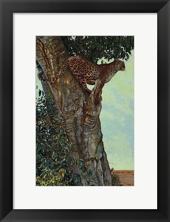 Framed On the Lookout Print