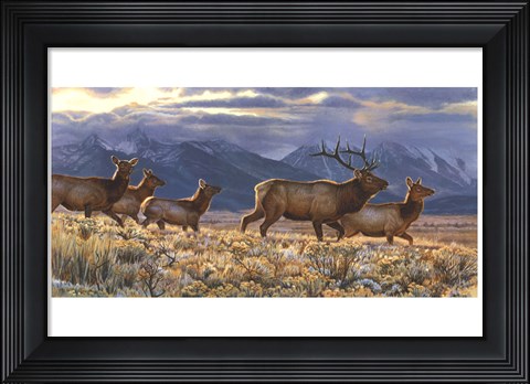 Framed On the Run Print